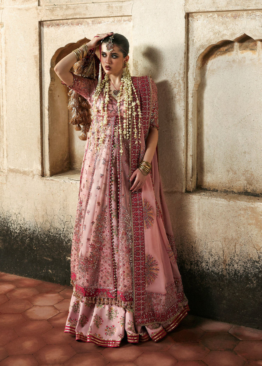 Hussain Rehar Massarat Embroidered Organza Unstitched 3Pc Suit - Roshanara