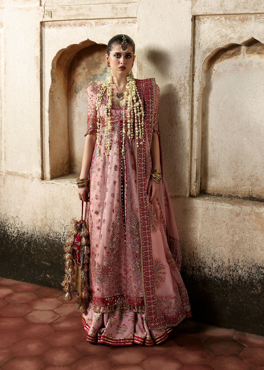 Hussain Rehar Massarat Embroidered Organza Unstitched 3Pc Suit - Roshanara