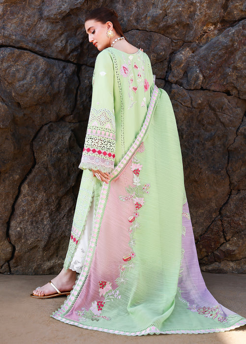 Saira Shakira Breeze Embroidered Lawn Unstitched 3Pc Suit D-02B NOOR