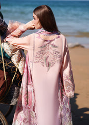 Saira Shakira Breeze Embroidered Lawn Unstitched 3Pc Suit D-03A TALI