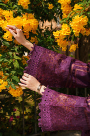 Baroque Embroidered Swiss Lawn Unstitched 3Pc Suit BQU-SL12-D04