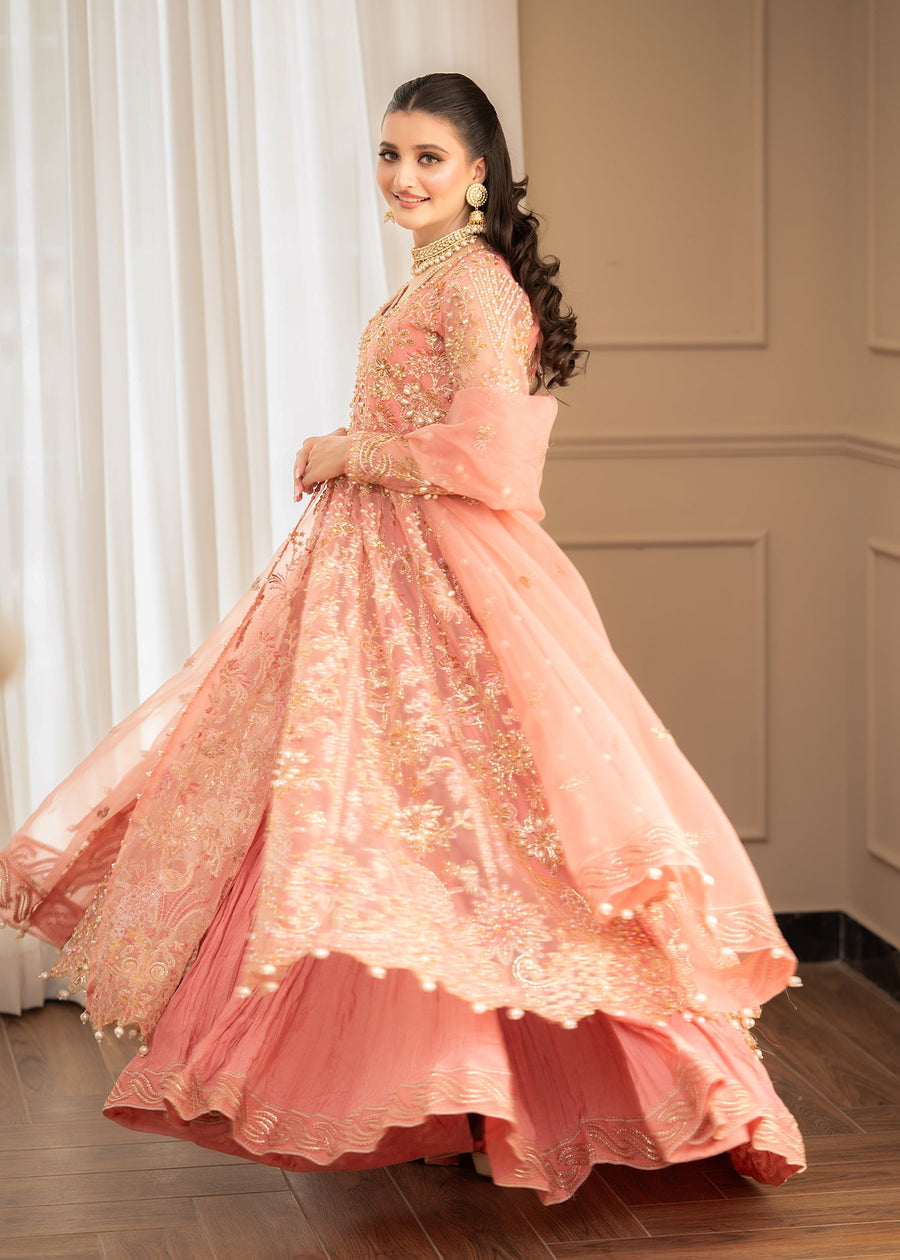 Maria Osama Khan Mystara Embroidered Organza Unstitched 3Pc Suit - Alera