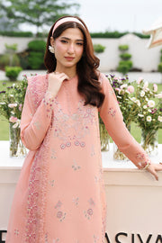 Rang Rasiya Florence Festive Embroidered Lawn Unstitched 3Pc Suit - SAHAR