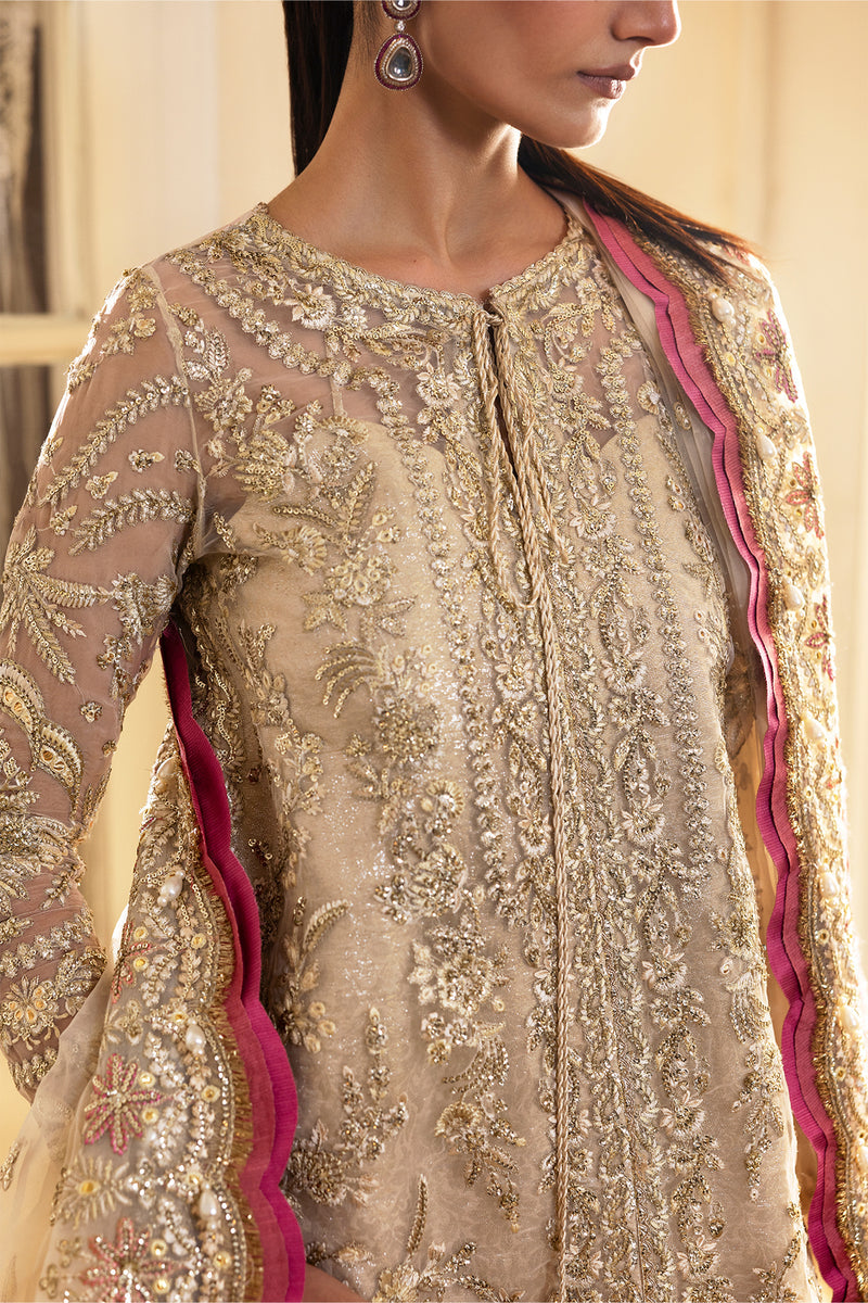 Afrozeh Dastangoi Embroidered Organza Unstitched 3Pc Suit AWS-07 SILKDAWN