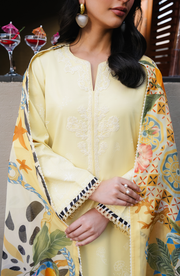 Seran Afsanah Embroidered Lawn Unstitched 3Pc Suit D-06 SINA