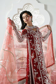 Soraya Lumene Embroidered Organza Unstitched 3Pc Suit - Solara