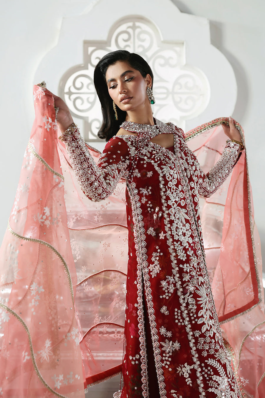 Soraya Lumene Embroidered Organza Unstitched 3Pc Suit - Solara