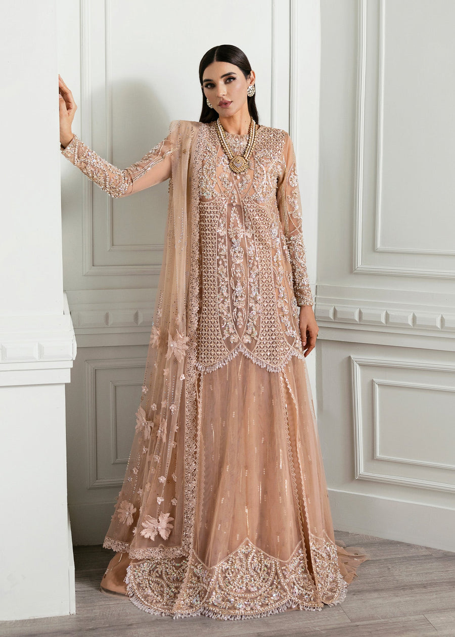 Crimson X Saira Shakira Embroidered Tulle Unstitched 3Pc Suit - Stardust