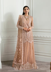 Crimson X Saira Shakira Embroidered Tulle Unstitched 3Pc Suit - Stardust