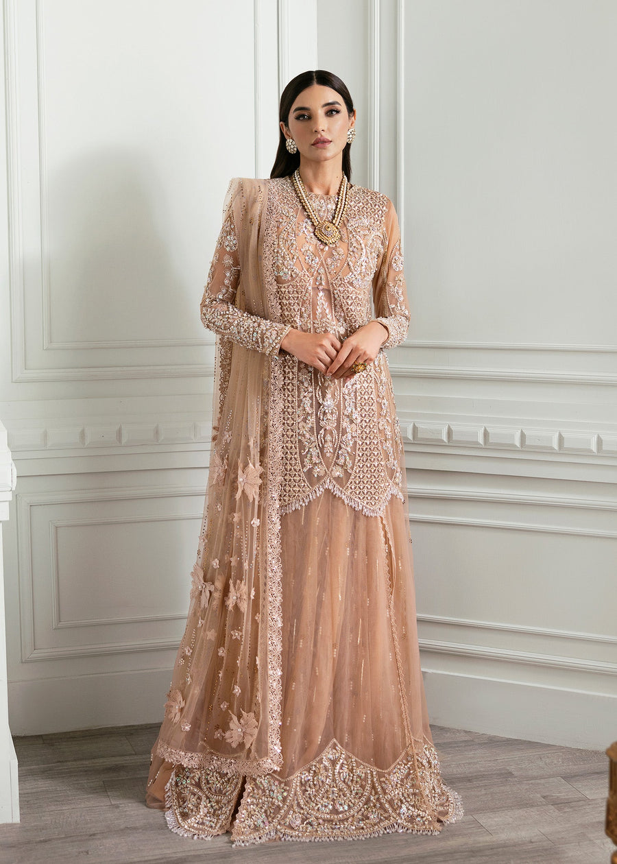 Crimson X Saira Shakira Embroidered Tulle Unstitched 3Pc Suit - Stardust