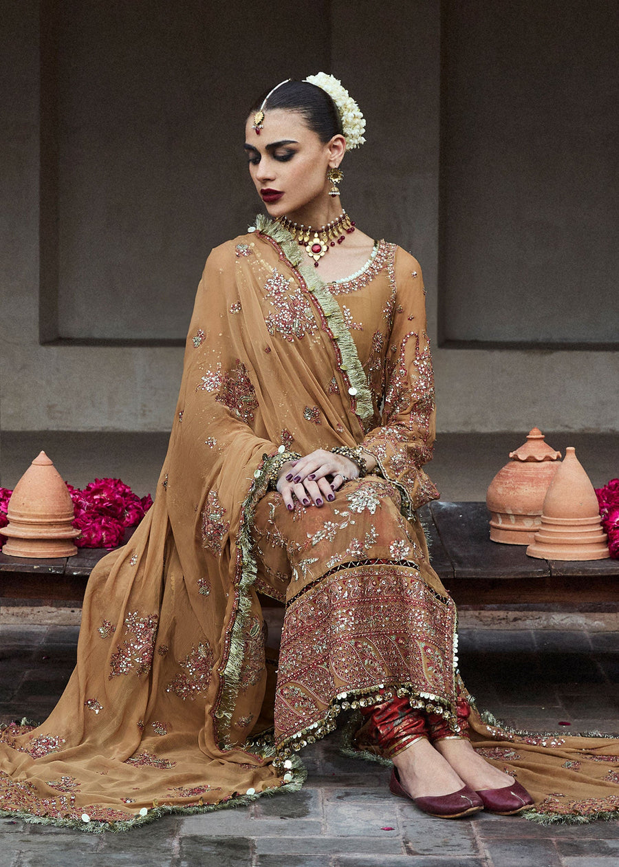 Hussain Rehar Festive Unstitched Embroidered Chiffon Dress - Talai