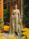 Saira Shakira Embroidered Net Unstitched Wedding Suit - TAUPE