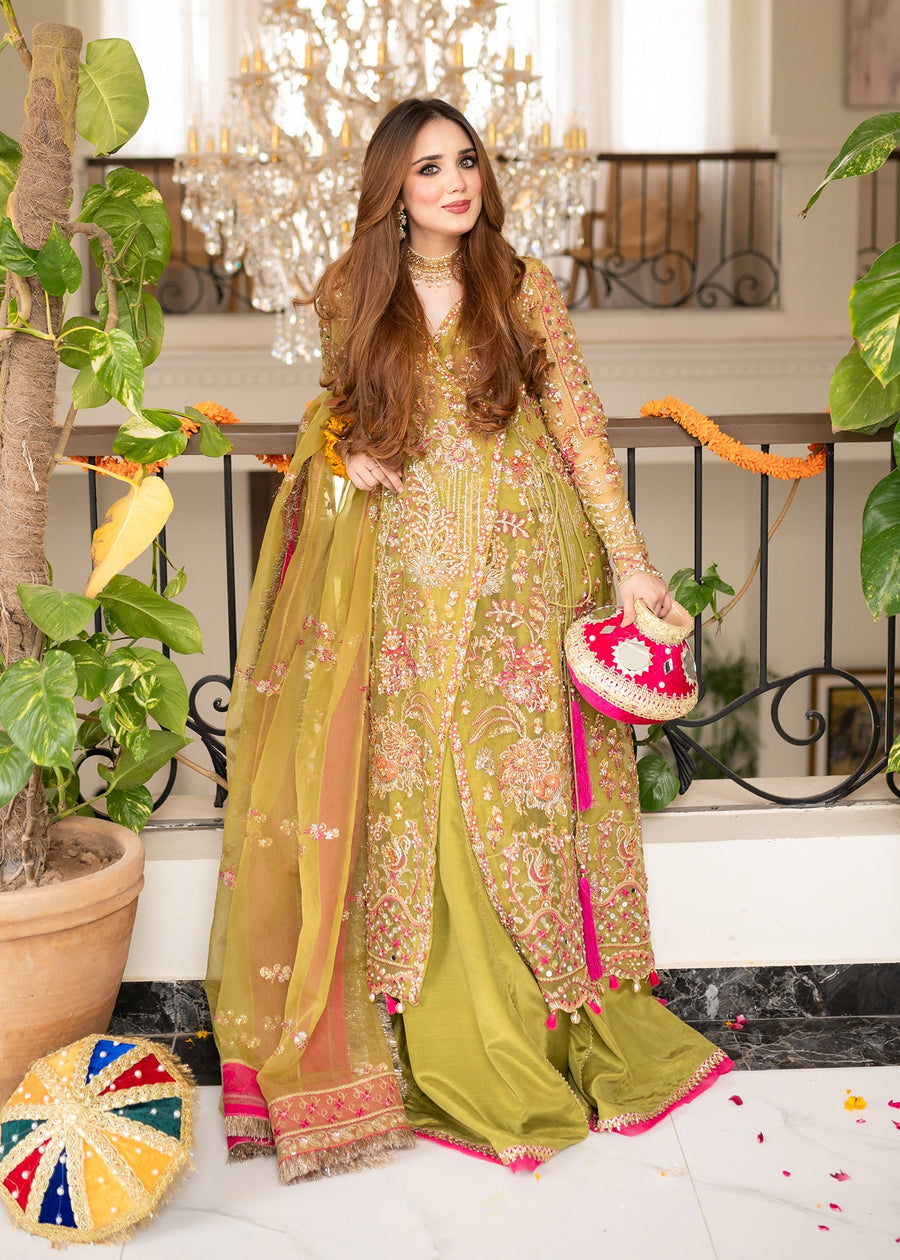Maria Osama Khan Mystara Embroidered Organza Unstitched 3Pc Suit - Noir