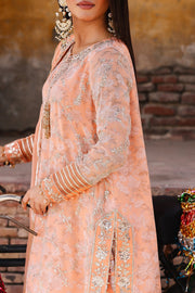 Charizma Vasal Vol-03 Embroidered Chiffon Unstitched 3Pc Suit VSL25-19