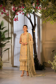 Sobia Nazir Vital Embroidered Lawn Unstitched 3Pc Suit VT25-01B