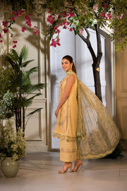 Sobia Nazir Vital Embroidered Lawn Unstitched 3Pc Suit VT25-01B