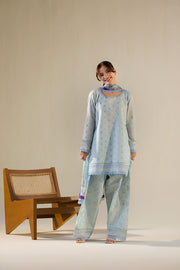 Sobia Nazir Vital Embroidered Lawn Unstitched 3Pc Suit VT26-10B