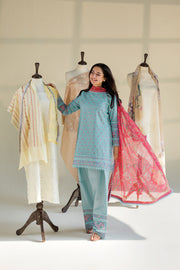 Sobia Nazir Vital Embroidered Lawn Unstitched 3Pc Suit VT26-06A