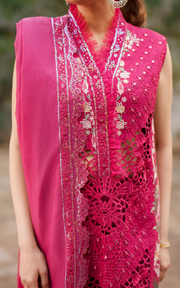 Asifa & Nabeel Versa Luxury Lawn Unstitched 3Pc Suit VUL26-07 Ethereal Echo