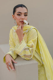 Zellbury Embroidered Chikankari Cotton Unstitched 3Pc Suit WUC24E30707