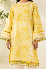 Zellbury Summer Embroidered Lawn Unstitched 2Pc Suit WUS26E20408