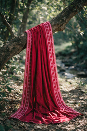 Zellbury Embroidered Khaddar Unstitched 3Pc Suit WUWQ1E30347