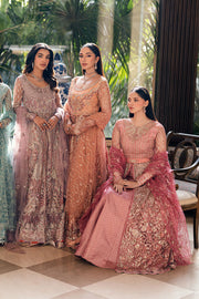 Mushq Mann Mein Tu Embroidered Net Unstitched 3Pc Suit MWD-05 WADAY