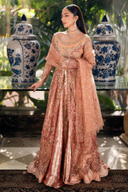 Mushq Mann Mein Tu Embroidered Net Unstitched 3Pc Suit MWD-02 YAARI