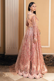 Mushq Mann Mein Tu Embroidered Net Unstitched 3Pc Suit MWD-02 YAARI