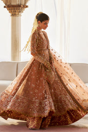 Gossamer by Zaha Wedding Festive Unstitched Dress ZC25-08 GUL-E-MAHNOOR