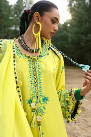 ZAHA Neelum Embroidered Lawn Unstitched 3Pc Suit ZL25-10B ELAYA
