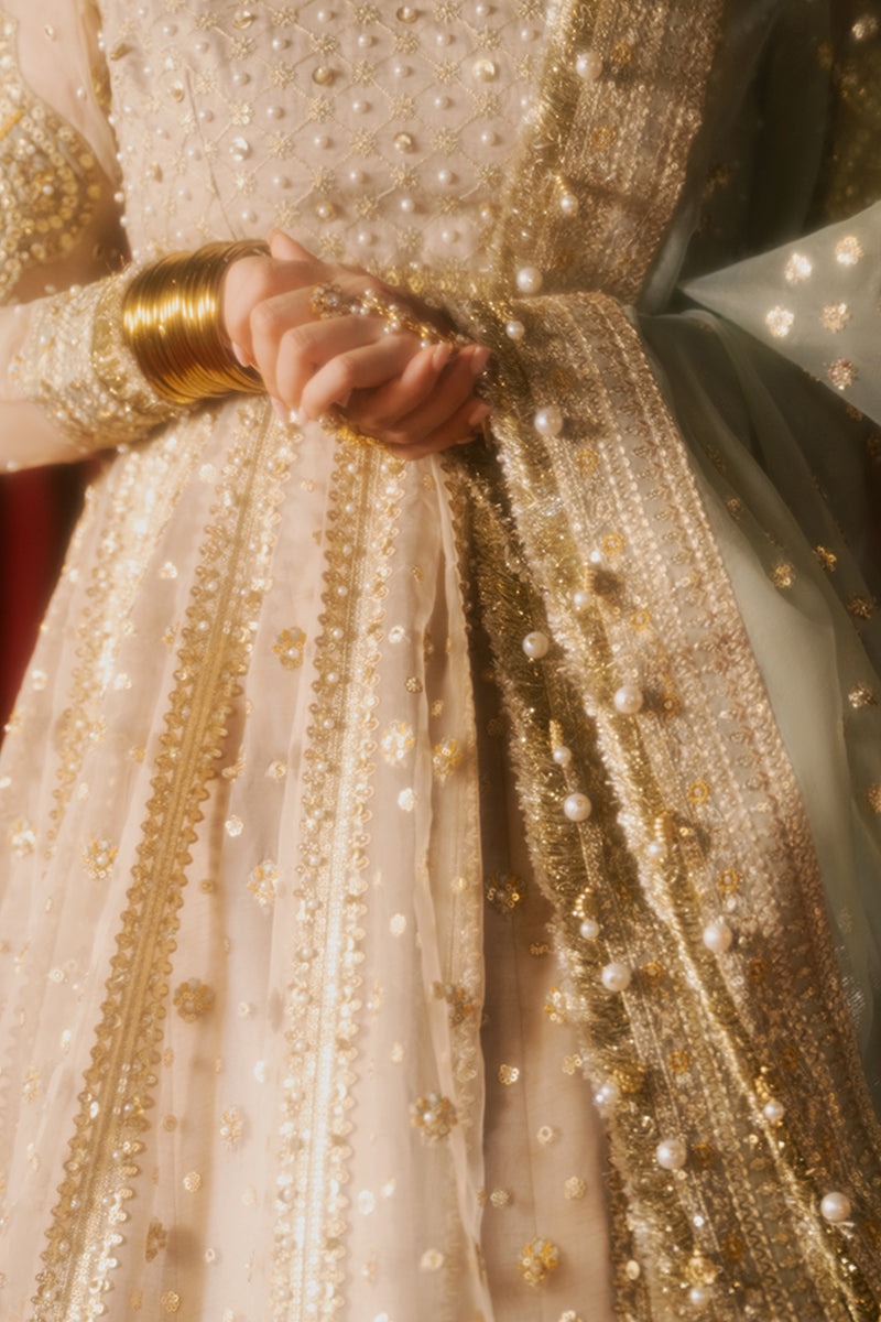 Zarlish by MNR Dur-E-Nayab Embroidered Organza Unstitched 3Pc Suit - SHABNAMI