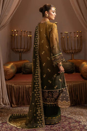 AF-JHLK-06-ZABREEN Embroidered Chiffon