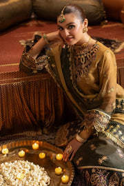 AF-JHLK-06-ZABREEN Embroidered Chiffon
