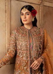 Hussain Rehar Luxury Festive Formal Organza Unstitched Dress - Zareena