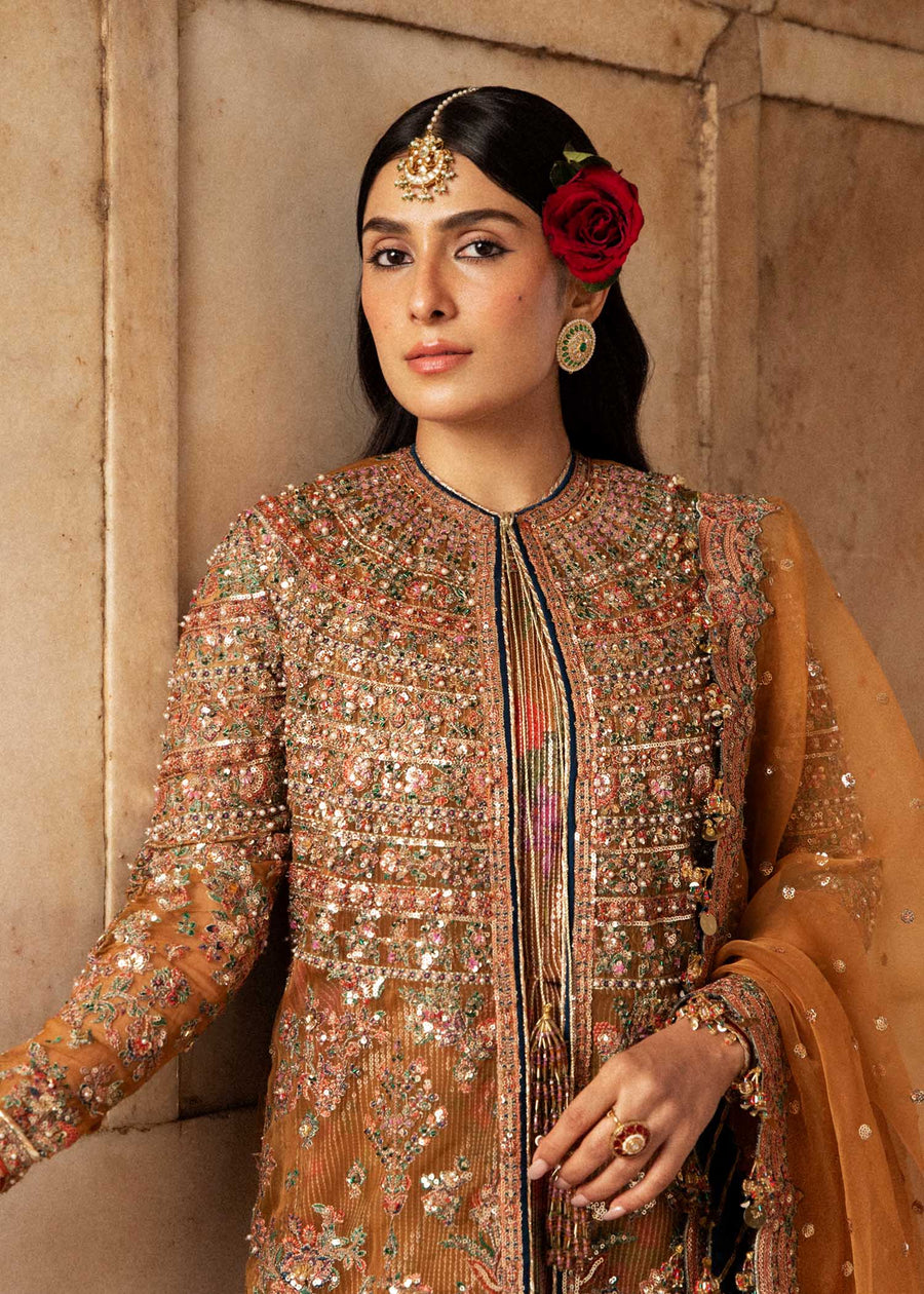 Hussain Rehar Luxury Festive Formal Organza Unstitched Dress - Zareena