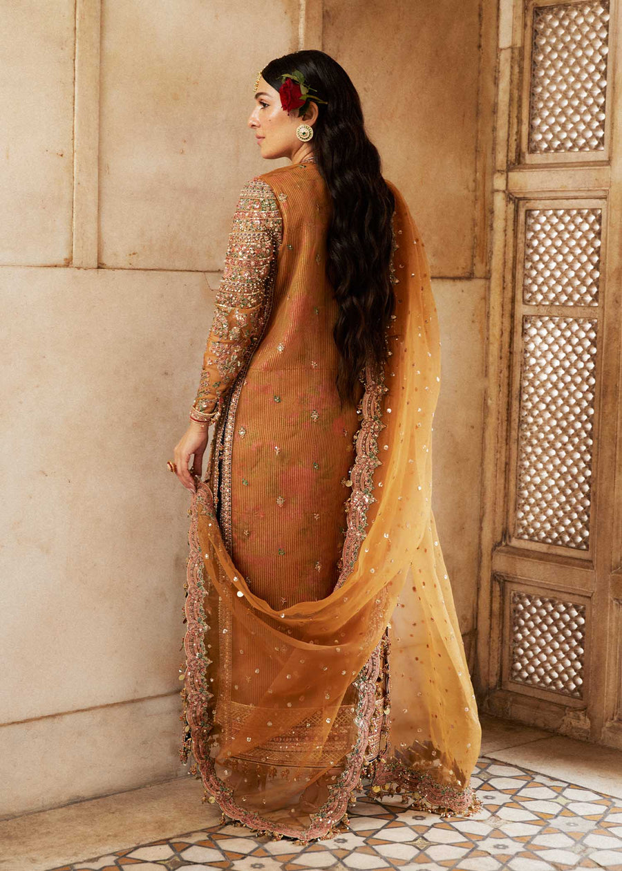 Hussain Rehar Luxury Festive Formal Organza Unstitched Dress - Zareena