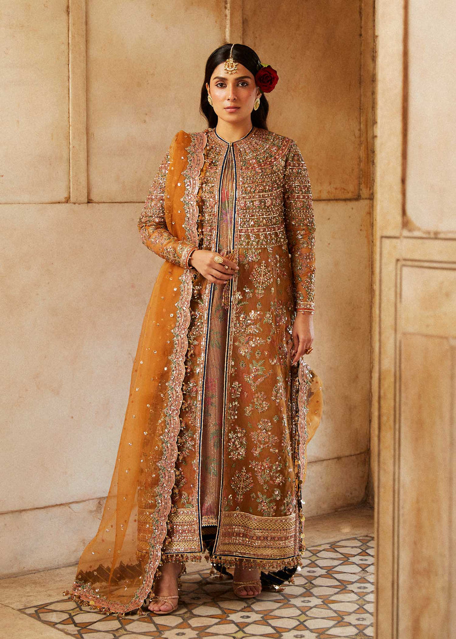 Hussain Rehar Luxury Festive Formal Organza Unstitched Dress - Zareena