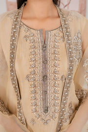 Safwa Embroidered Formal 3PC Ready to Wear Suit - F000118