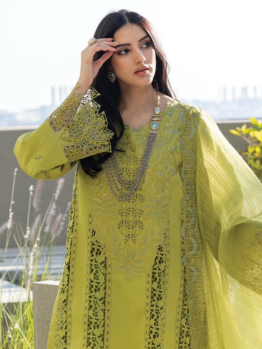 Rang Rasiya Carnation Embroidered Lawn Unstitched 3Pc Suit D-02 AALEEN