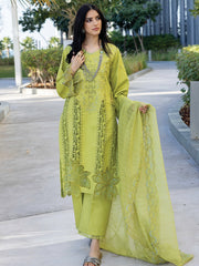 Rang Rasiya Carnation Embroidered Lawn Unstitched 3Pc Suit D-02 AALEEN
