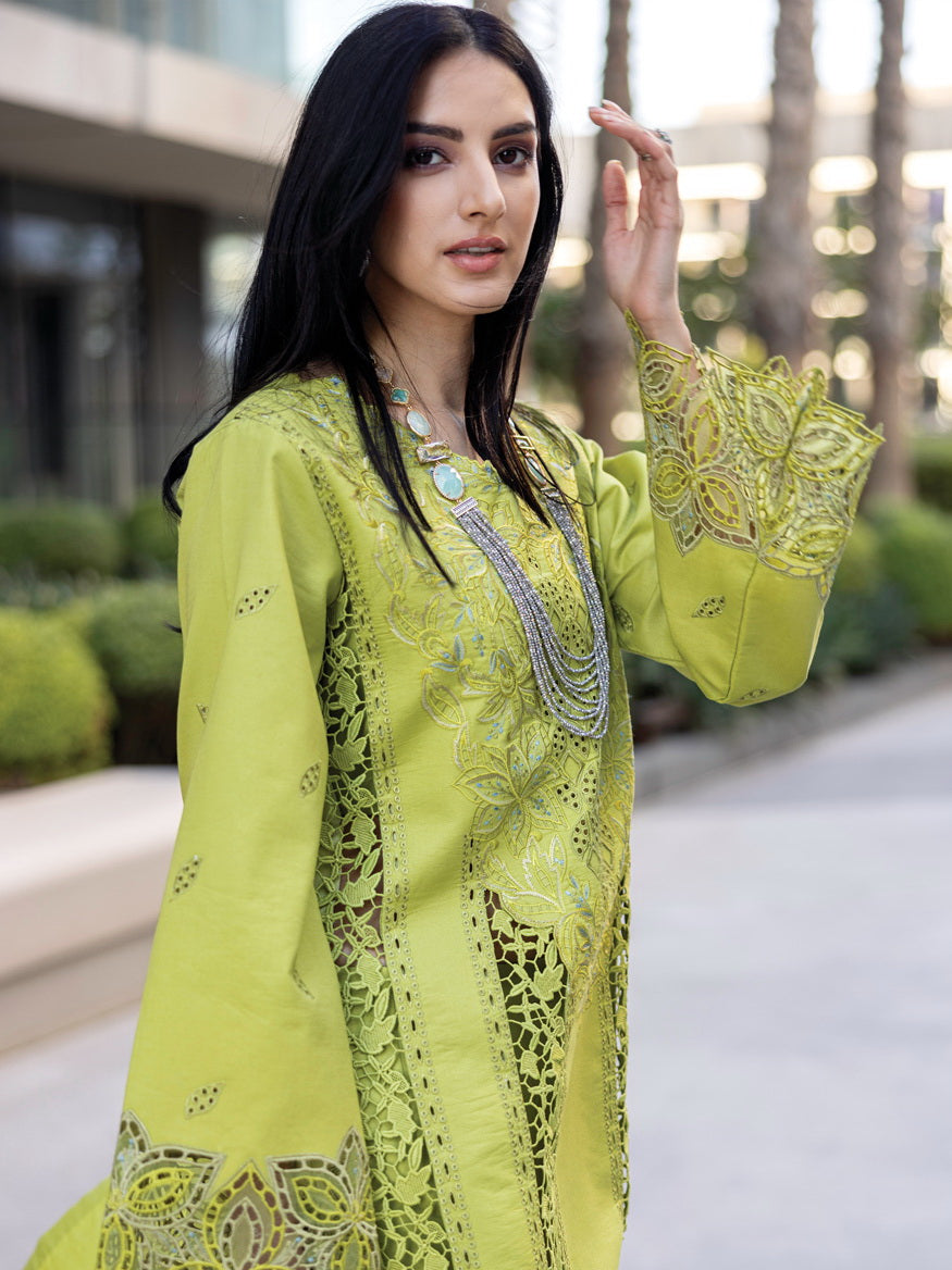 Rang Rasiya Carnation Embroidered Lawn Unstitched 3Pc Suit D-02 AALEEN