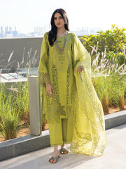 Rang Rasiya Carnation Embroidered Lawn Unstitched 3Pc Suit D-02 AALEEN