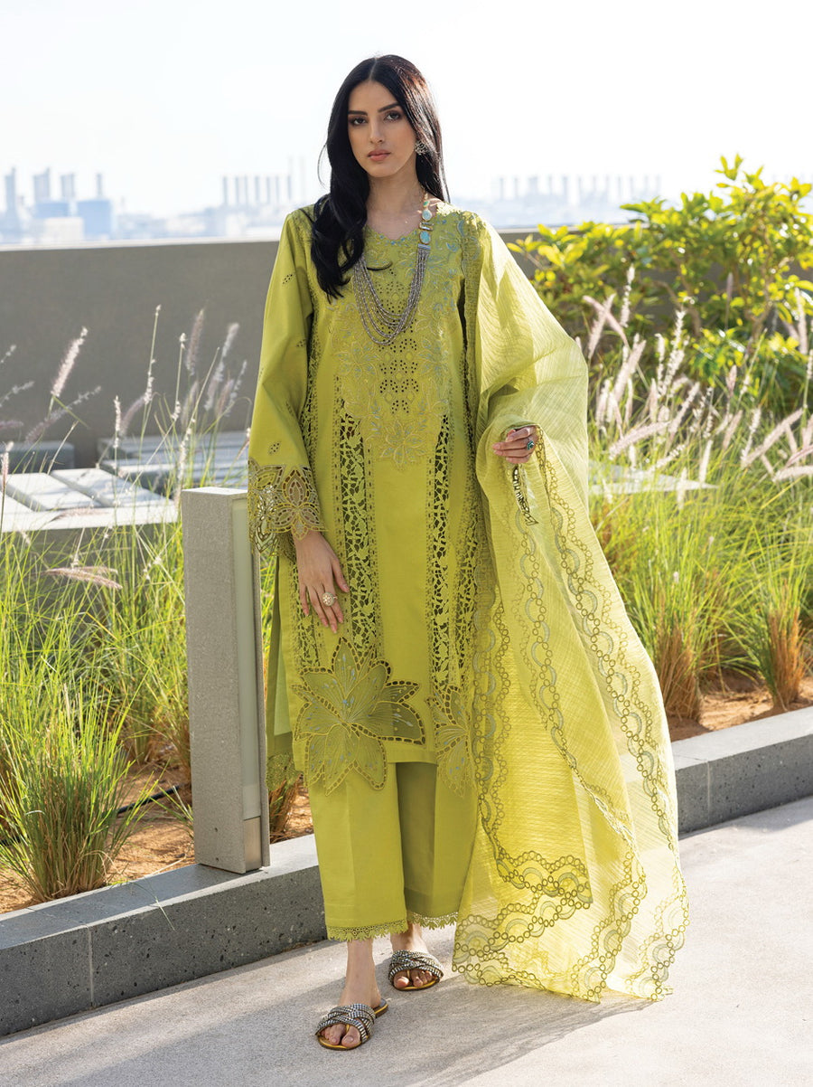 Rang Rasiya Carnation Embroidered Lawn Unstitched 3Pc Suit D-02 AALEEN
