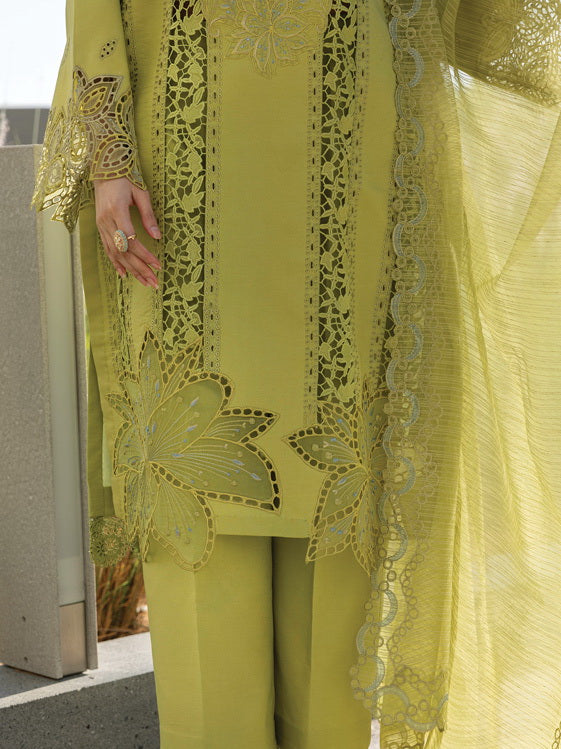 Rang Rasiya Carnation Embroidered Lawn Unstitched 3Pc Suit D-02 AALEEN
