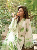 Maria.B M.Basics Embroidered Lawn Unstitched 3Pc Suit MB-CUS25-906B