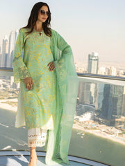 Rang Rasiya Carnation Embroidered Lawn Unstitched 3Pc Suit D-06 BELLA