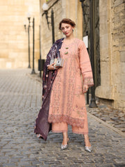 Rang Rasiya Carnation Embroidered Karandi Unstitched 3Pc Suit D-03 Latte