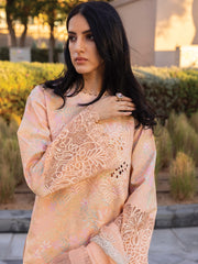 Rang Rasiya Carnation Embroidered Lawn Unstitched 3Pc Suit D-04 ZINNIA