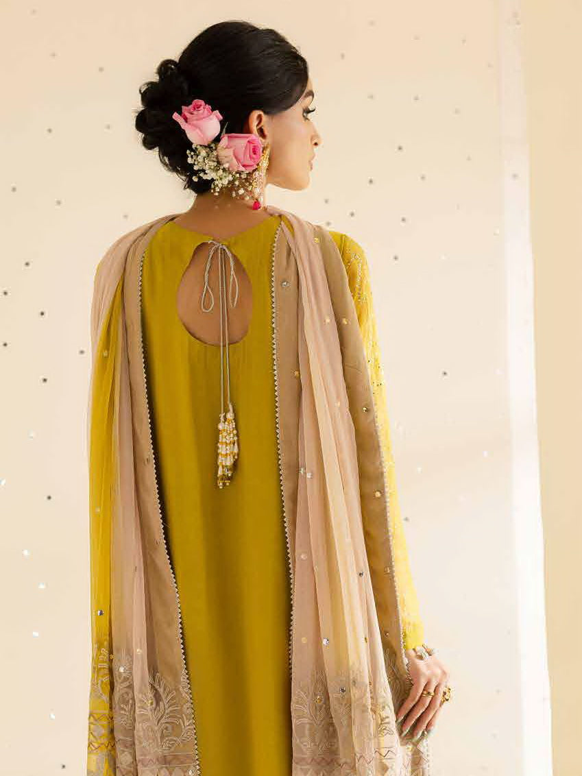 Nureh Mukeshkari Embroidered Chiffon Unstitched 3Pc Suit MK-08